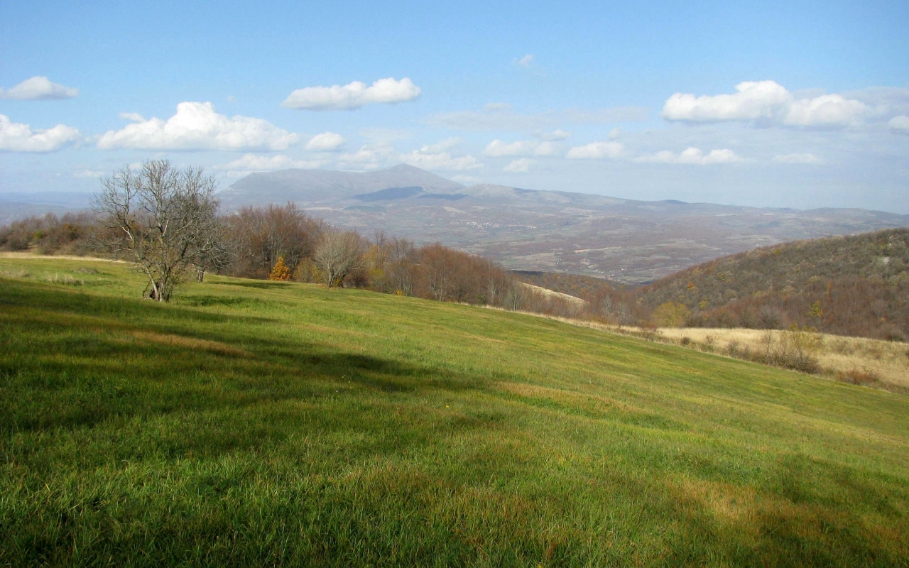 Ozren