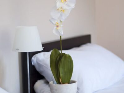Sokobanja smeštaj - Apartmani "Živković"