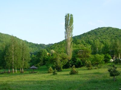 Park šuma Čuka 2