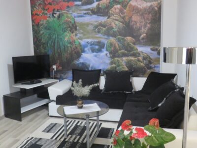 Sokobanja smeštaj - Apartmani “Pavlović” 0658107167 Centar I zona