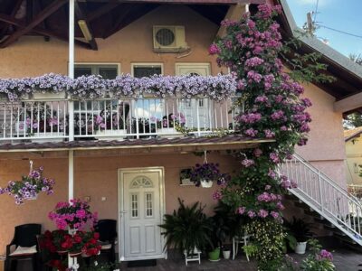 Sokobanja smeštaj - Smeštaj "Icić"