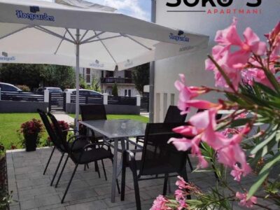 Sokobanja smeštaj - Apartmani "Soko S"