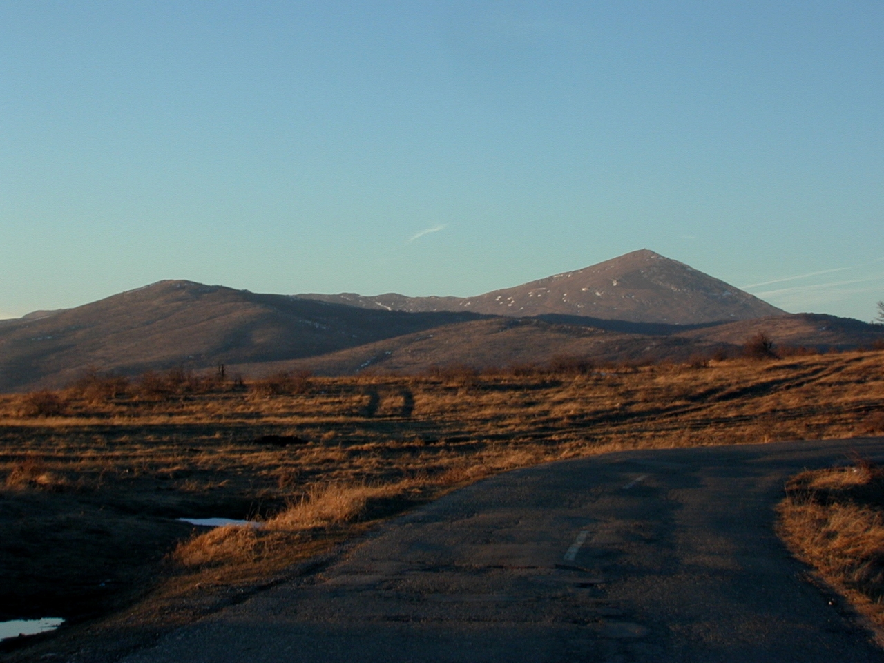 You are currently viewing Planina Rtanj – stanište strogo zaštićenih vrsta flore Srbije